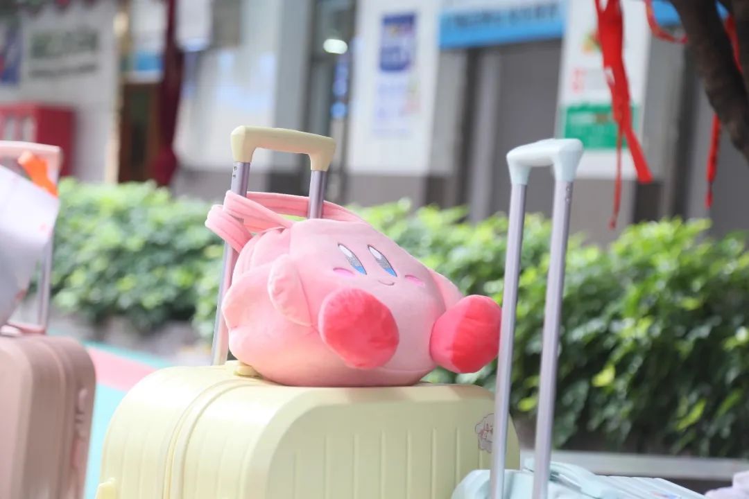 _W/ ȻҊ峺վڟoδ